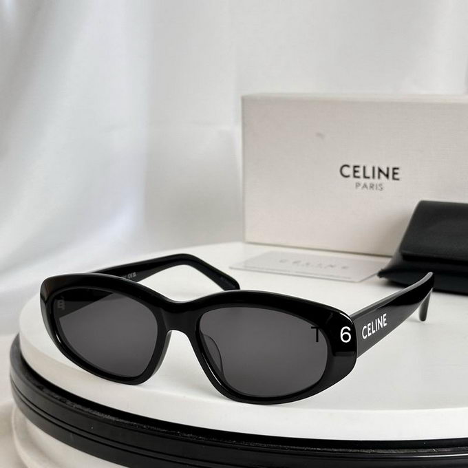 Celine Sunglasses ID:20240804-77